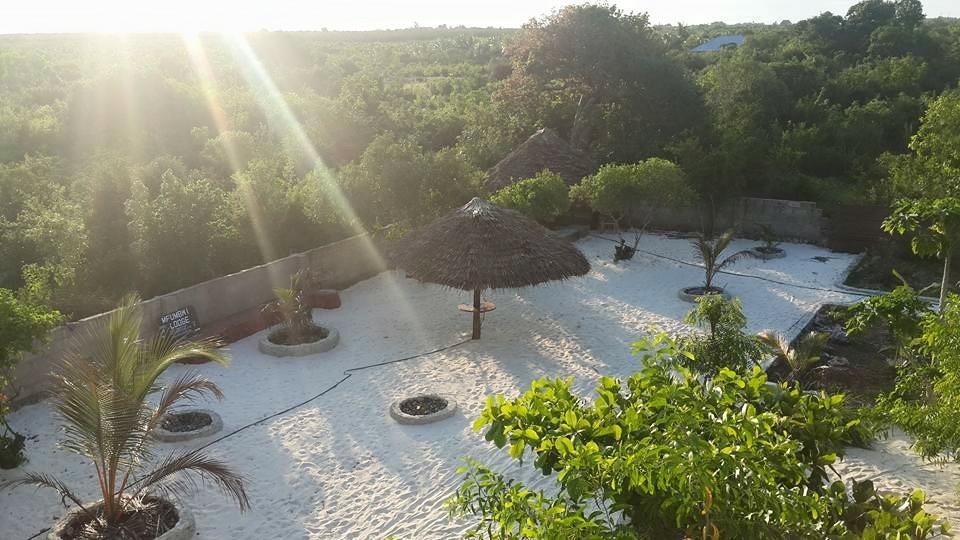 Mfumbwi Lodge Jambiani  Eksteriør bilde